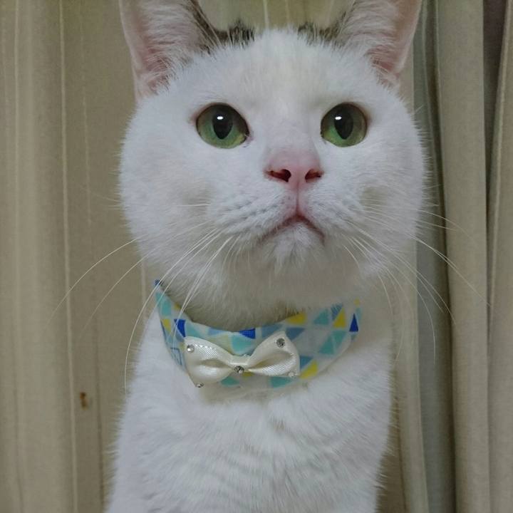 5ca1088b 9895 48eb 9991 f7f486dfaa58