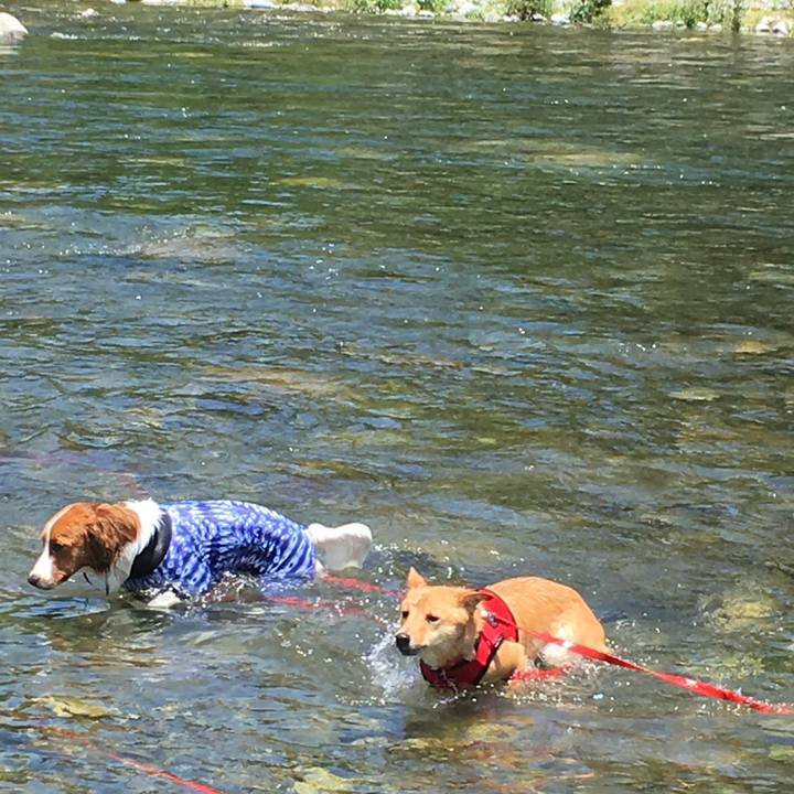 5ca11177 8b37 4097 ac4e 7ec5df4242d8