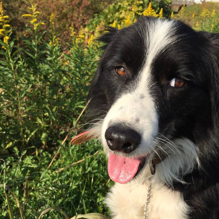 5ca13f94 e8e4 4c0a 8f39 b6546b6490b7