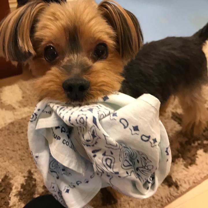 5ca14ba7 b4e1 4ad4 92b5 d055a524f621