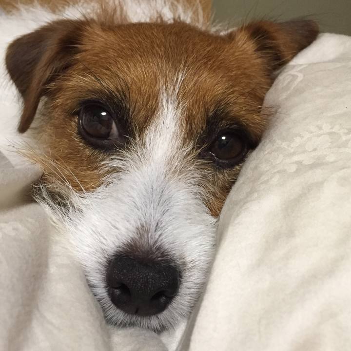 5ca15701 c176 49eb a8e4 15e585d64362