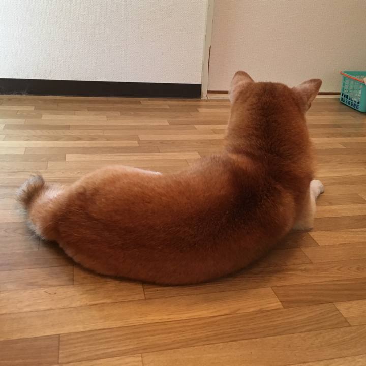 5ca19c4f f95d 4167 ad58 aba69704ad43