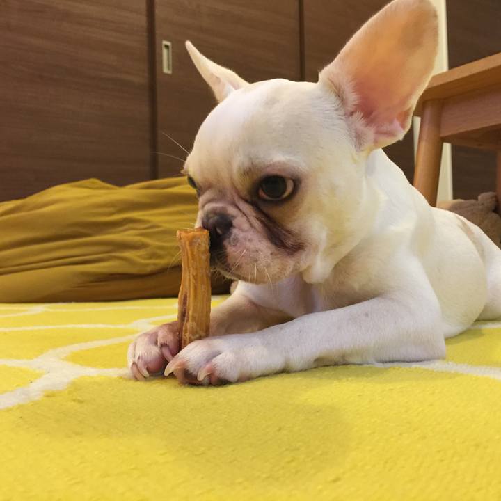 5ca19eb8 12dc 4707 8bdb e6275dab7182