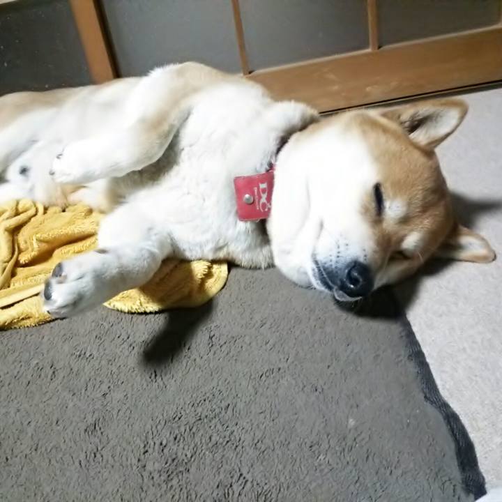 5ca1c6e2 db38 4700 a7ca 1ca12a78936d