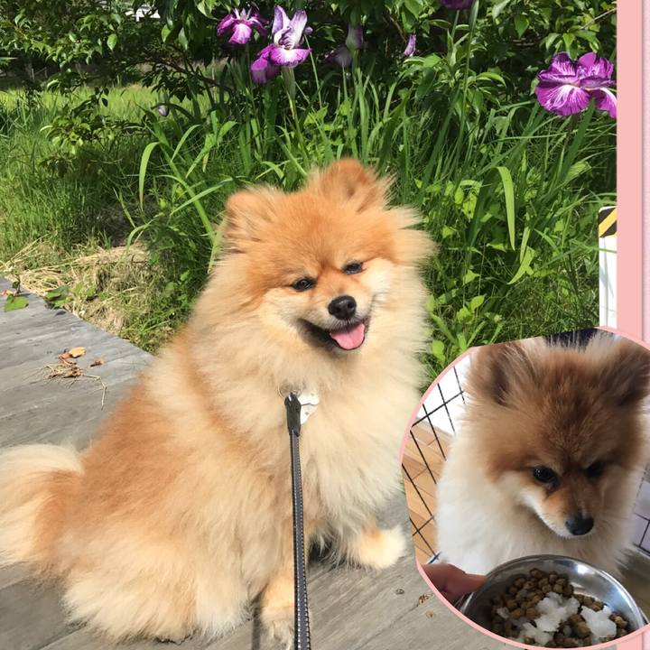 5ca1fcbc 0e14 4609 8b31 96cc09d39d6a