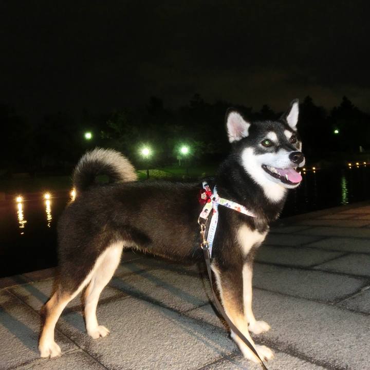 5ca231b0 9b0c 4e9a a85e 19281930f478