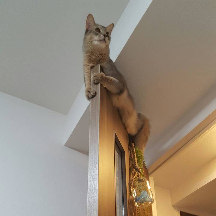 5ca25468 cb4a 4f6b 9fa1 b66ac3aafff1