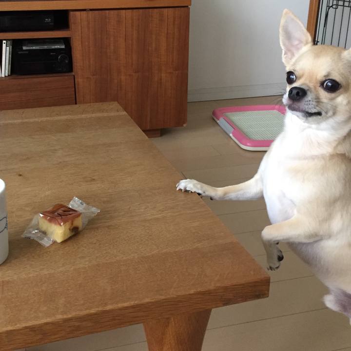 5ca3ba33 c0a1 4ca8 9fc1 16b0accaf76b