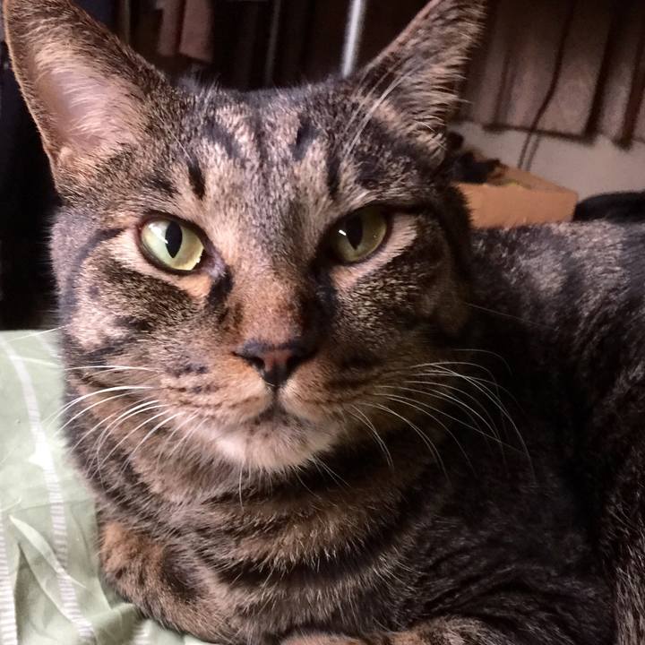 5ca447f6 800f 40e8 ba30 f6800cc233e2