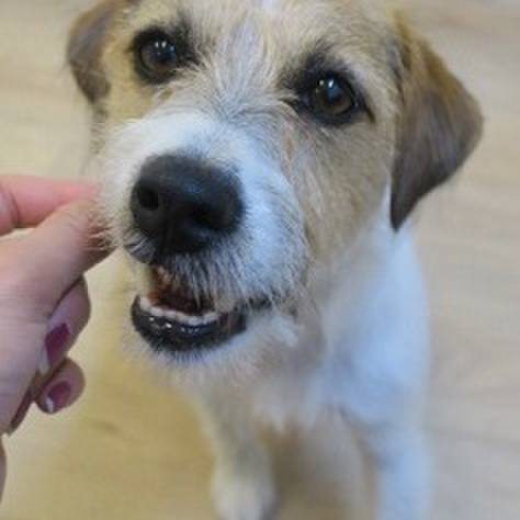 5ca45f97 98f0 47a2 b649 41fed59656ca