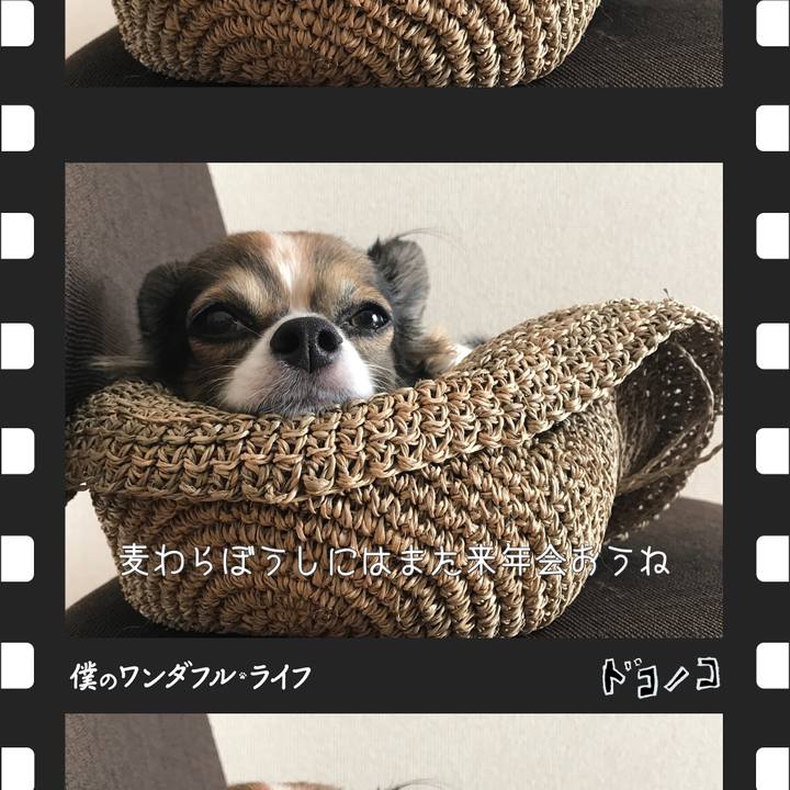 5ca4f045 3677 4841 a7a8 0095e7a16a38