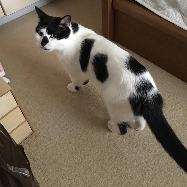 5ca524d5 1292 48f5 af32 5d879b189296