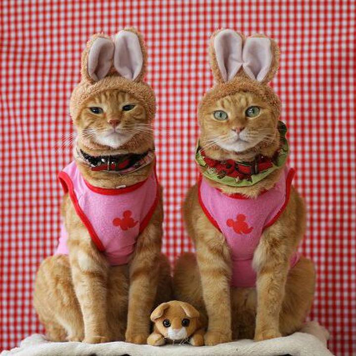 5ca5469a 6dc9 4aaa 98ac 5fbd511ded08