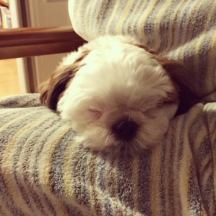 5ca58ccc ac01 4272 a483 27045f1edd51