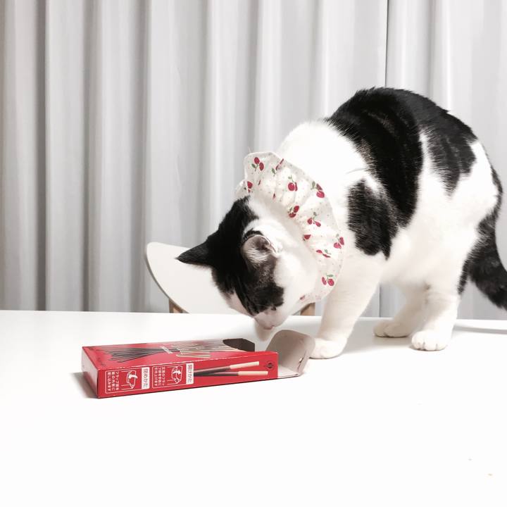 5ca5fb2e 1924 4fee 894e a20f73087fda