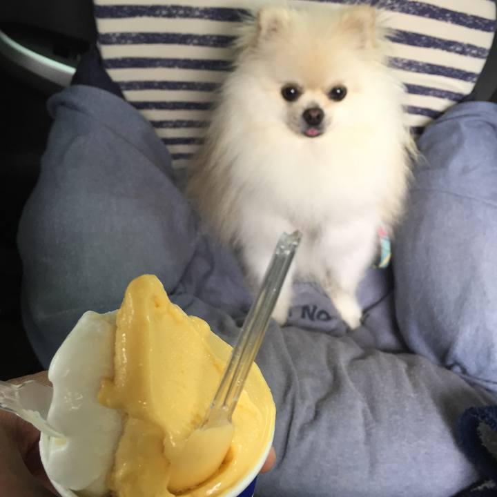 5ca65cdc be0d 4d7b 9f69 cff117fba498