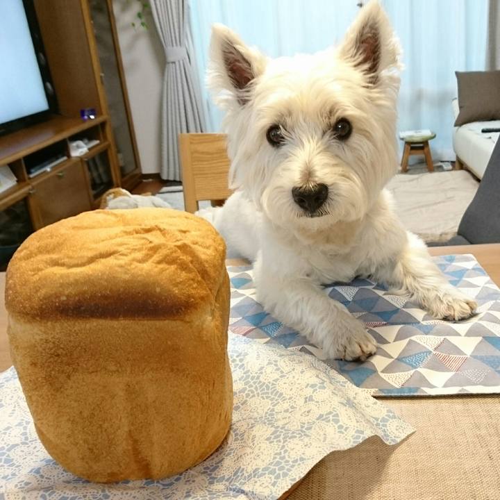 5ca66108 3707 4481 934d e71a2a2b48be