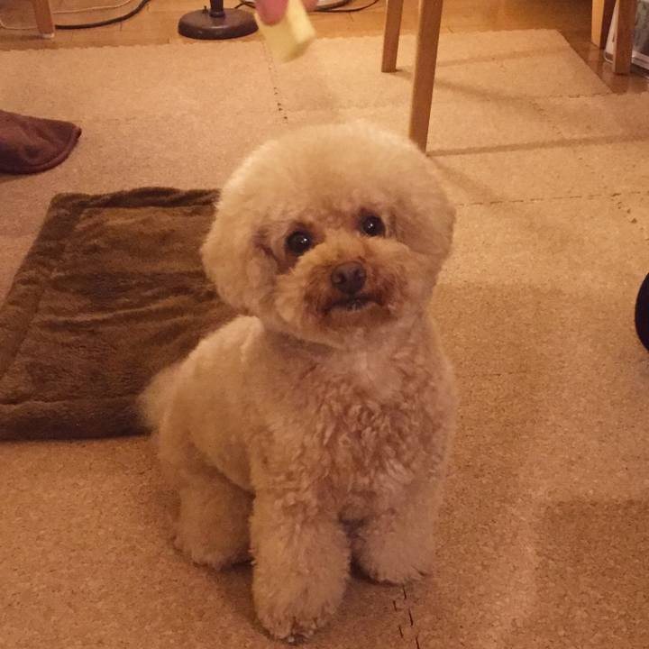 5ca669bc 55c3 4e9d 8d27 aff3185ac975