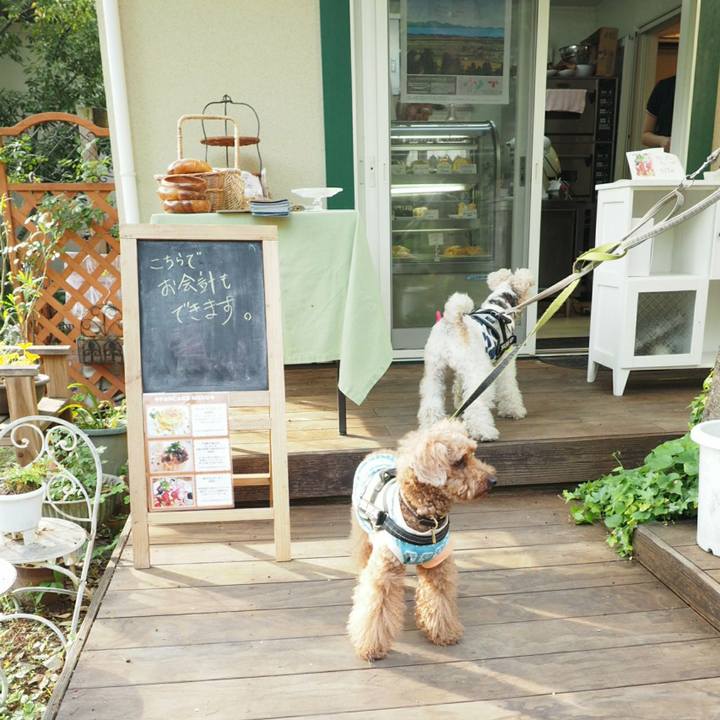 5ca67e26 0801 429c b5a1 bc27c336864a