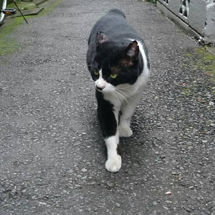 5ca6e33f 7010 432c ad0c 83422235b556