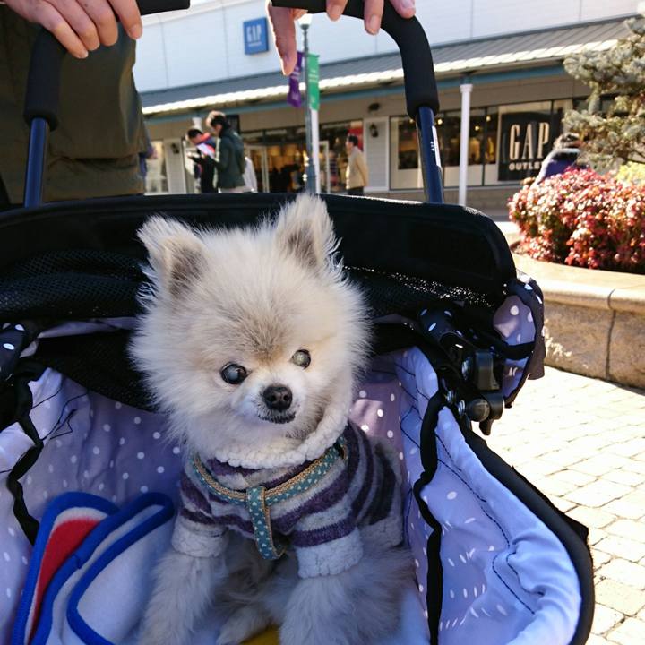 5ca79f3a a1d5 48f2 b694 79604290a6f7