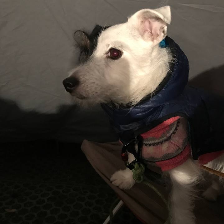 5ca7eede a261 460d bbc4 f3253c5aecb2