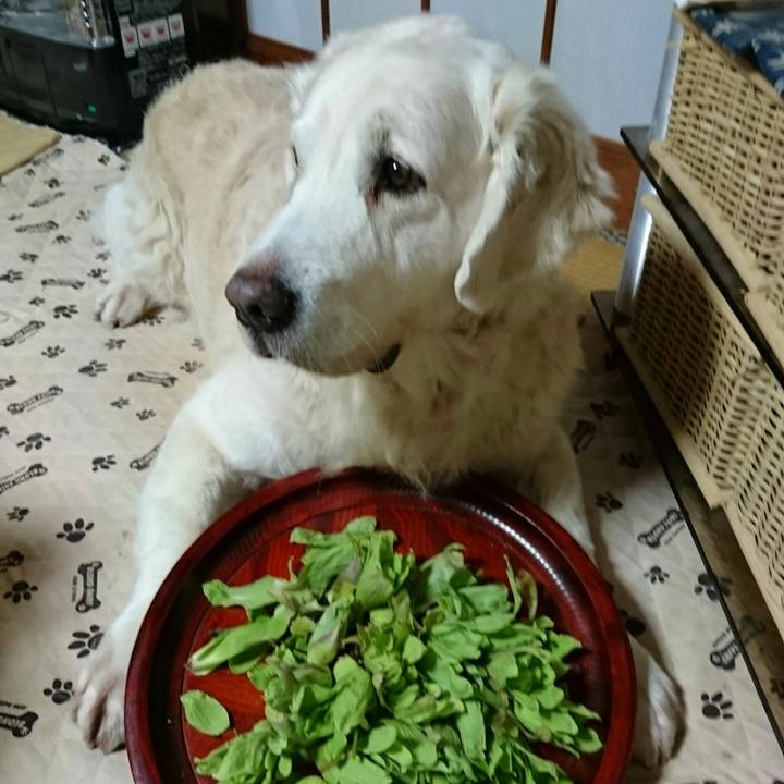 5ca85b62 f348 45af b556 4521d9c8242a