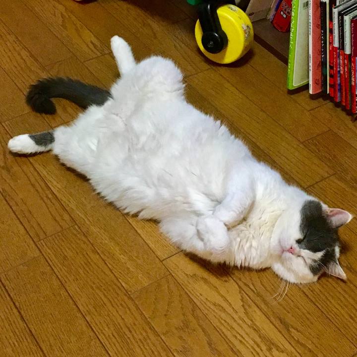 5ca8e1e2 9e1c 48af 90b8 0a83d7c5e945