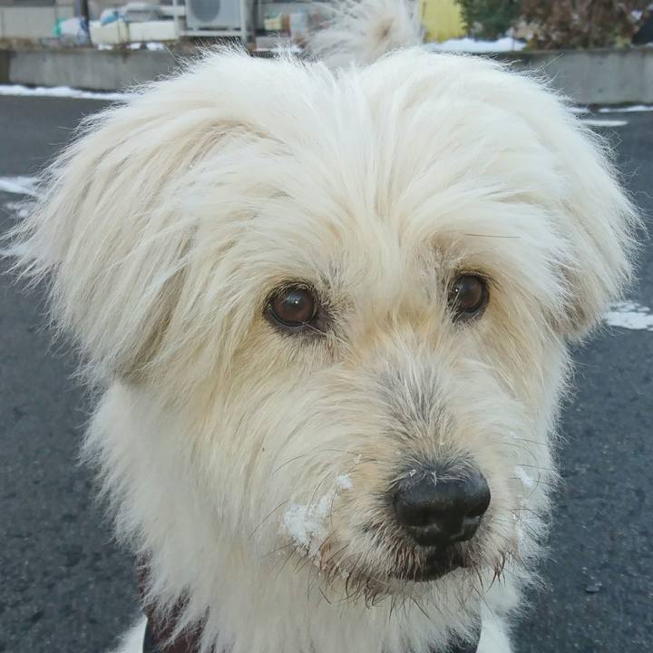 5ca96d0e 0101 4e58 b790 5d764e86d66b