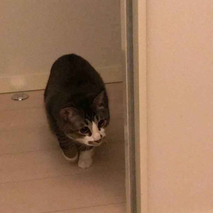 5ca9fb91 6675 4e8f b66f f7fb5d693aeb