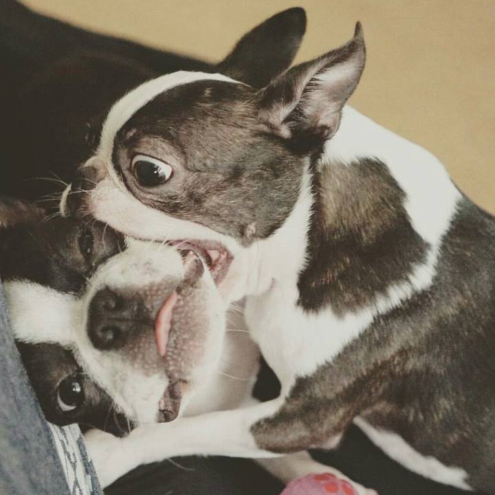 5caa75b6 f0f5 4ad6 8831 8196f918b4ee