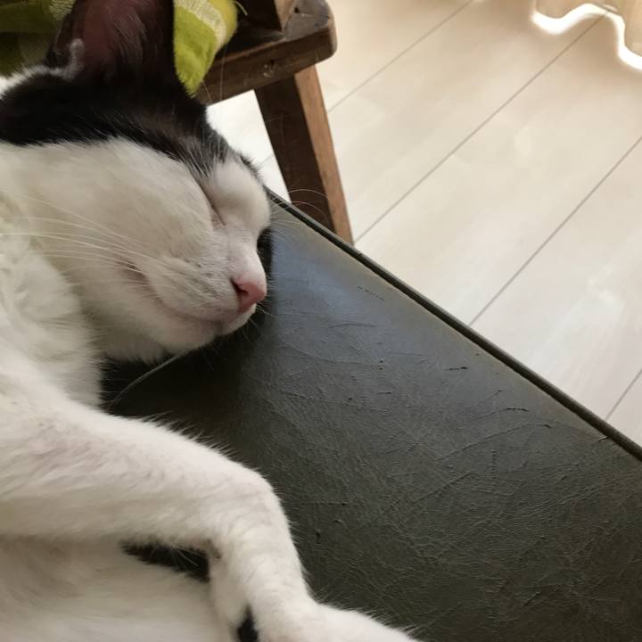 5cab241f 4032 488c b6de 969418b1cb37