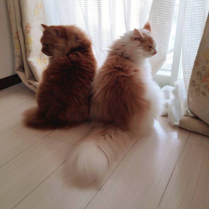 5cab51cd 24ef 4cbe 88e2 40af67b06421