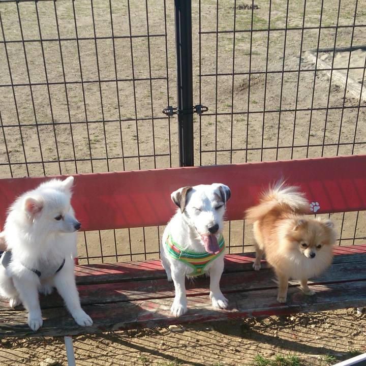 5cac10e3 c51c 4f68 8820 bafe7b1e5a95