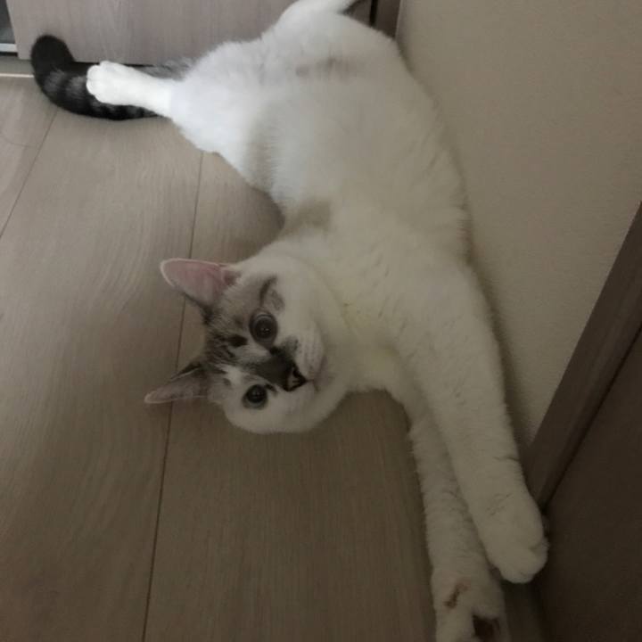 5cac27ee c871 43d5 a679 d67ebdf21763