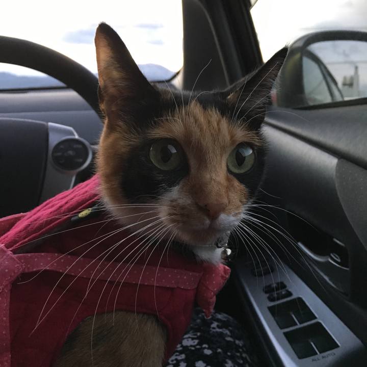 5caca30d 232d 4f0d b310 d1526a4ca00b