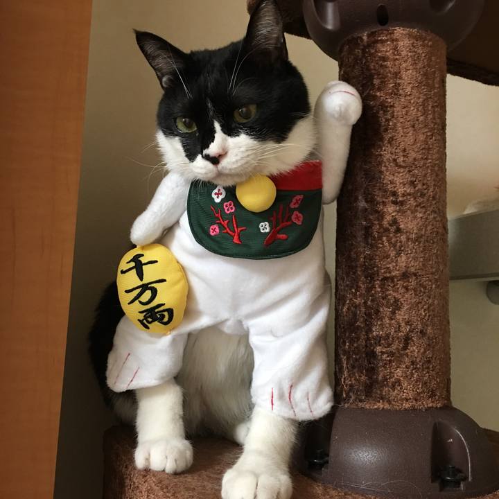 5cada058 265b 4ef6 9c5a cd98148f9ad3