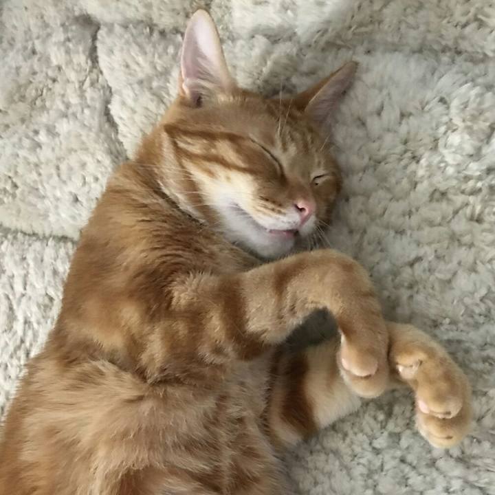 5cadbaad 618a 4a41 ba5d 2beeaf188388