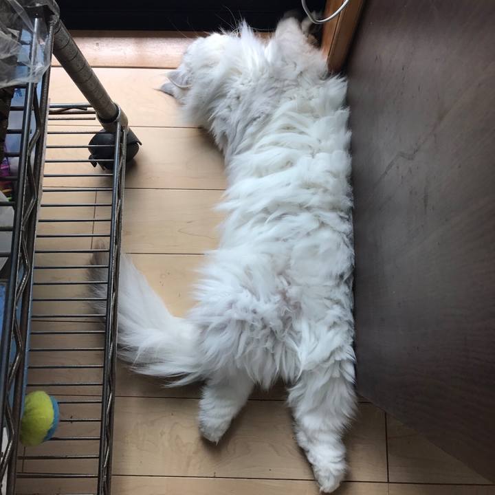 5cadef64 6b94 4a55 bc46 22f95cd45af0