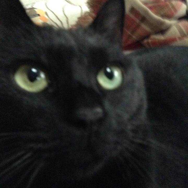 5cadf28d a29c 4c19 a2bc e89a8f852336