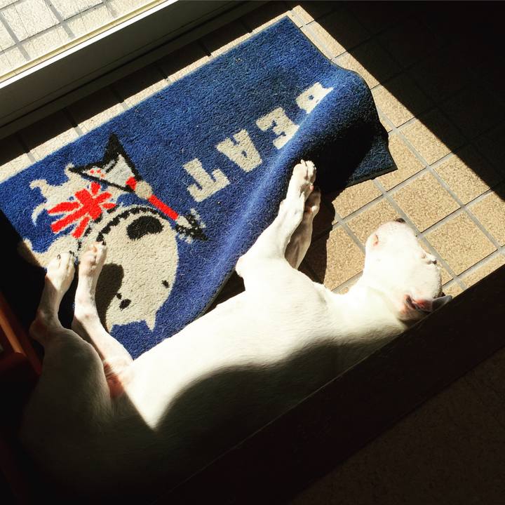 5cae205b 4068 45c5 afd1 7b90c8a94230