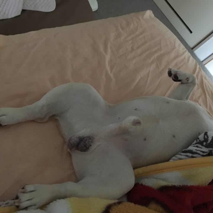 5cae831f ca0c 4fdc a457 40e7fce4f070