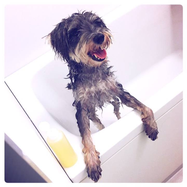 5cae9a8b 6a52 4bff a9d5 e6007d1d1d2b