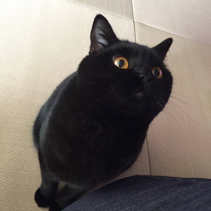 5caecc1a 0e17 4035 a287 c9d92ec4db98