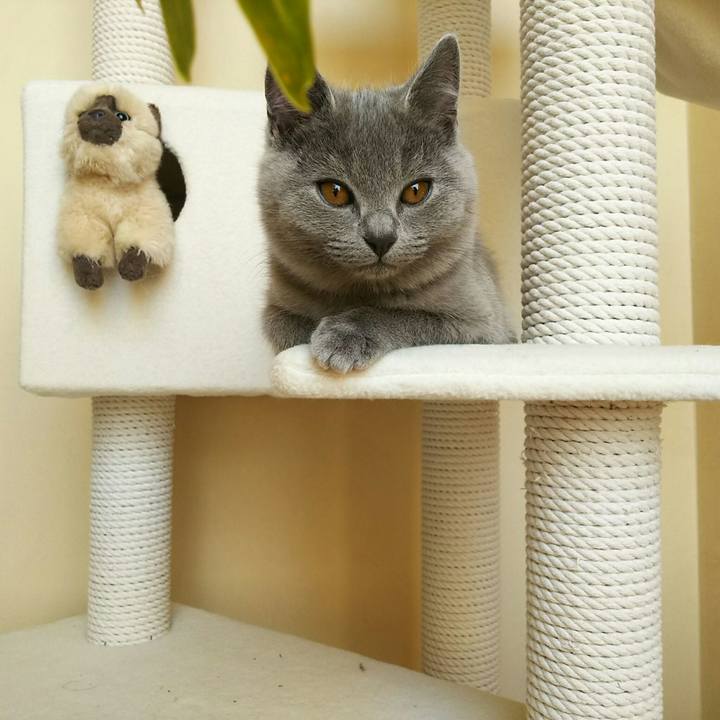 5caee3c5 1244 4732 8fe2 2df4d20690f1