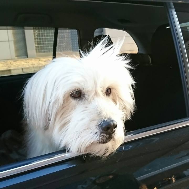 5cafb42a eadd 417c b49f 13093928c323