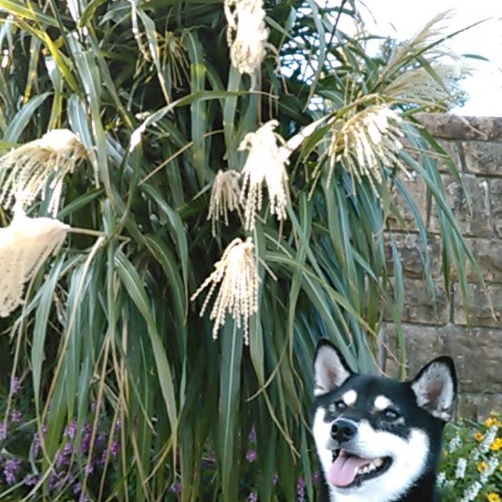 5cb0d41c ab11 4be3 a88c e8c5bfeb94f6