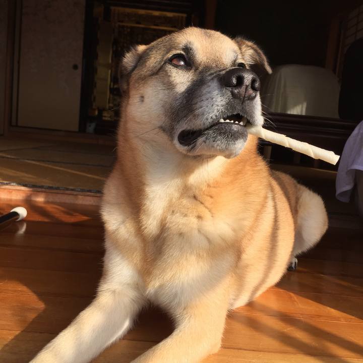 5cb10a08 63d5 4afc a174 17b0b6e66065