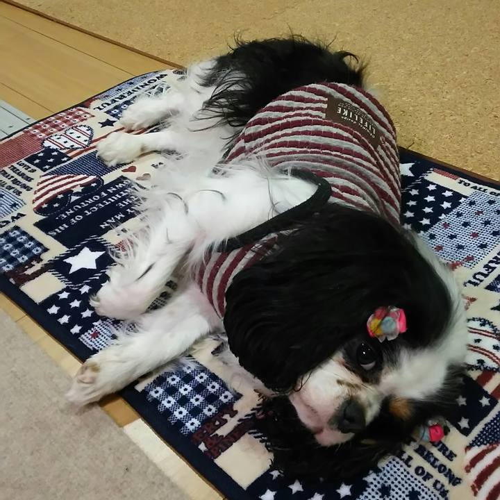 5cb1193a 0642 4458 807a 132401998743