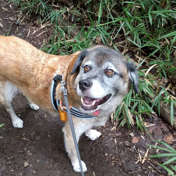 5cb1206b 6d02 478c 84d2 39cc2dd434ae